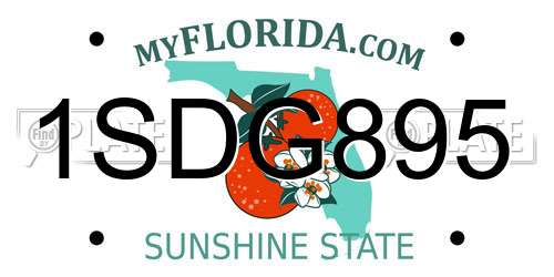 1SDG895 Florida License Plate