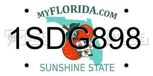 1SDG898 Florida License Plate