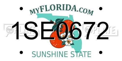 1SE0672 Florida License Plate