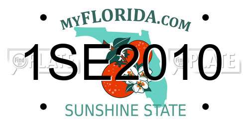 1SE2010 Florida License Plate