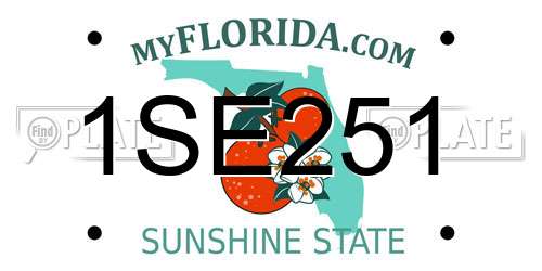 1SE251 Florida License Plate