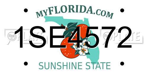 1SE4572 Florida License Plate