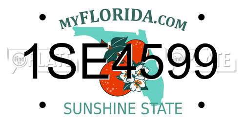 1SE4599 Florida License Plate