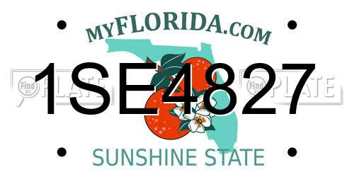 1SE4827 Florida License Plate