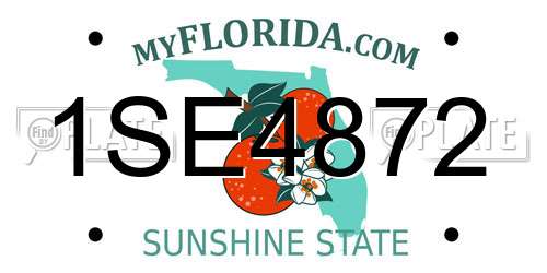 1SE4872 Florida License Plate