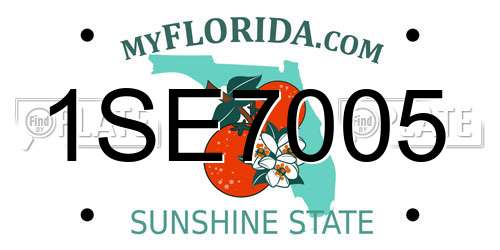 1SE7005 Florida License Plate
