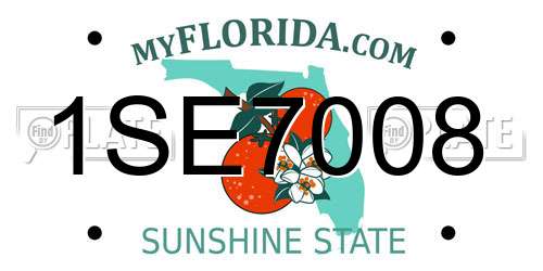 1SE7008 Florida License Plate