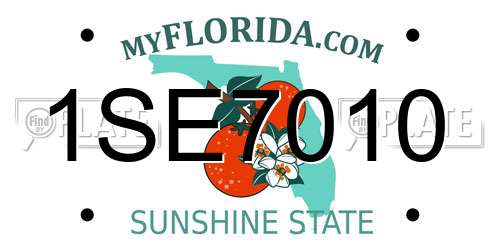 1SE7010 Florida License Plate