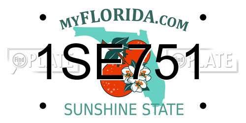 1SE751 Florida License Plate