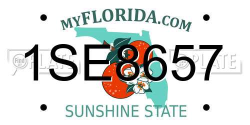 1SE8657 Florida License Plate