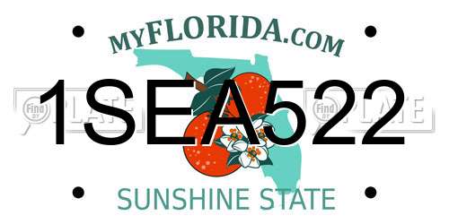 1SEA522 Florida License Plate