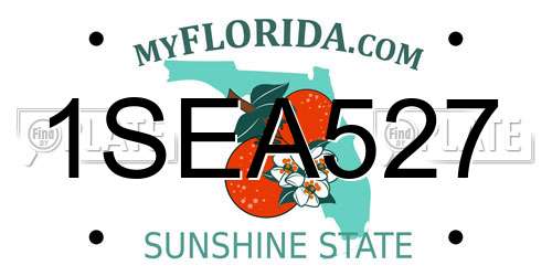 1SEA527 Florida License Plate