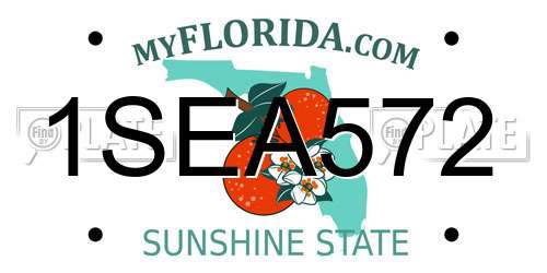 1SEA572 Florida License Plate