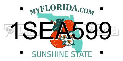 1SEA599 Florida License Plate