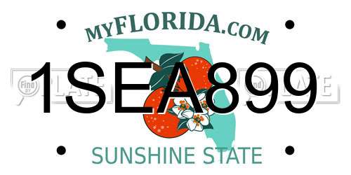 1SEA899 Florida License Plate