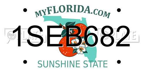 1SEB682 Florida License Plate