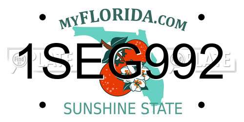 1SEG992 Florida License Plate
