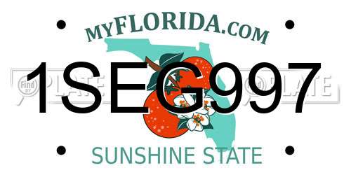 1SEG997 Florida License Plate