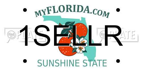 1SELLR Florida License Plate