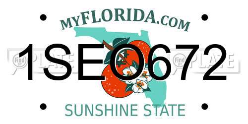 1SEO672 Florida License Plate