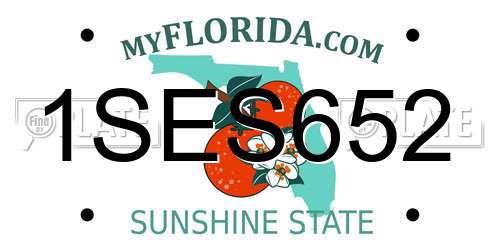 1SES652 Florida License Plate