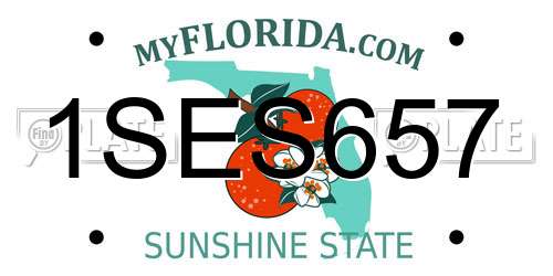 1SES657 Florida License Plate