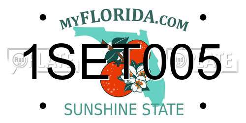 1SET005 Florida License Plate