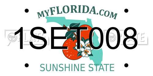 1SET008 Florida License Plate