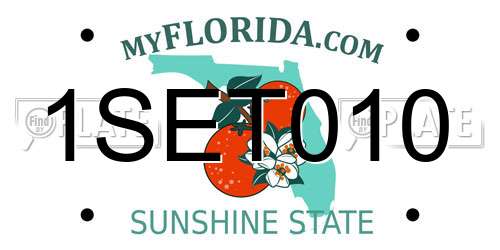 1SET010 Florida License Plate