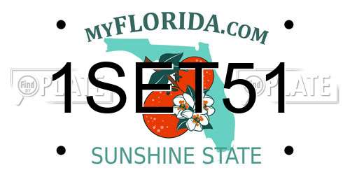 1SET51 Florida License Plate