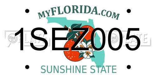 1SEZ005 Florida License Plate