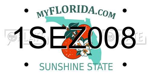 1SEZ008 Florida License Plate