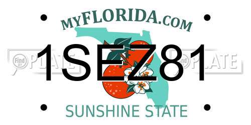1SEZ81 Florida License Plate