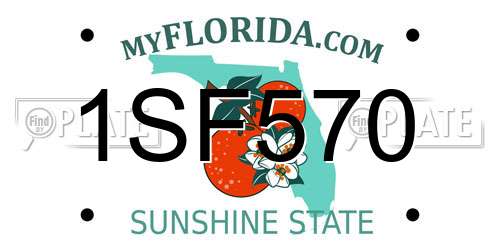 1SF570 Florida License Plate