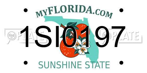 1SI0197 Florida License Plate
