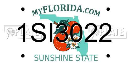 1SI3022 Florida License Plate