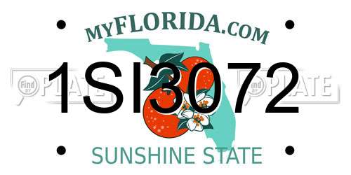 1SI3072 Florida License Plate