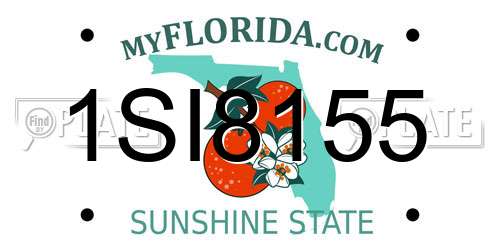 1SI8155 Florida License Plate