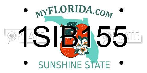 1SIB155 Florida License Plate