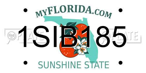 1SIB185 Florida License Plate