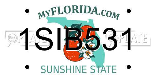 1SIB531 Florida License Plate