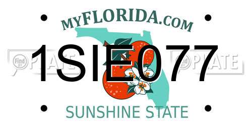 1SIE077 Florida License Plate