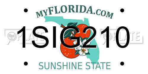 1SIG210 Florida License Plate