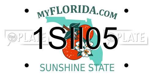 1SII05 Florida License Plate