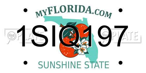 1SIQ197 Florida License Plate