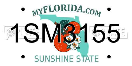 1SM3155 Florida License Plate
