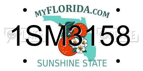 1SM3158 Florida License Plate