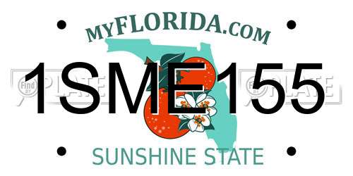 1SME155 Florida License Plate