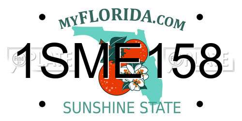 1SME158 Florida License Plate