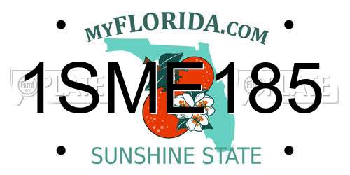 1SME185 Florida License Plate